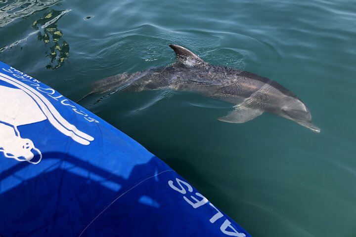 Experience Image img1