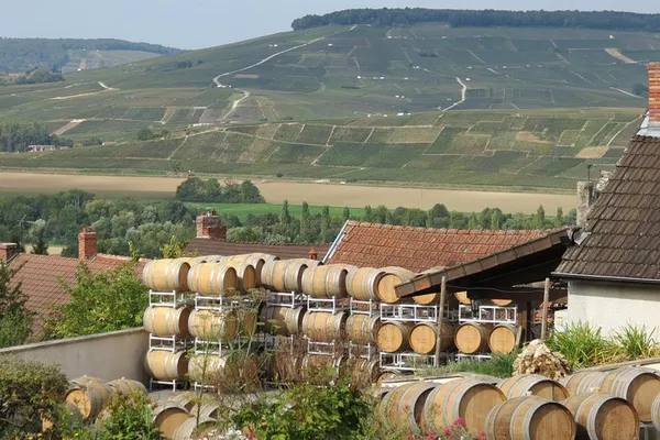 Champagne Dreams: A Luxurious Private Wine Tour from Paris
