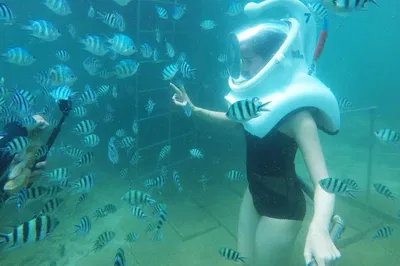 Hoi An & Cham Island Adventure: Explore UNESCO Sites with Sea Trek