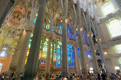 Image 2