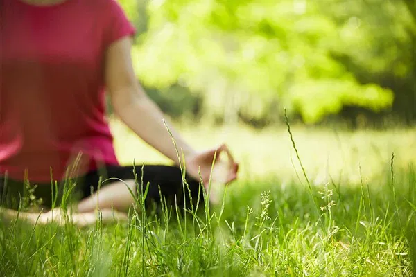 Messina's Bliss: Yoga, Wine, and Vineyard Views!