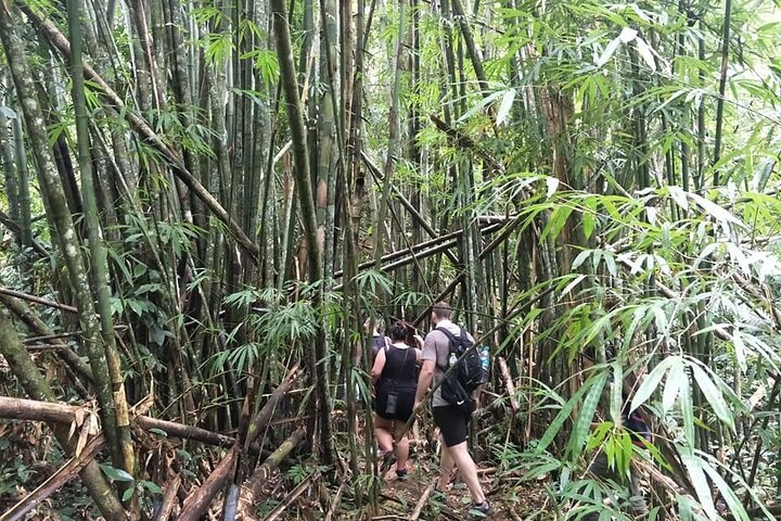 Phuket Rainforest & Waterfall Adventure: A Refreshing Jungle Escape