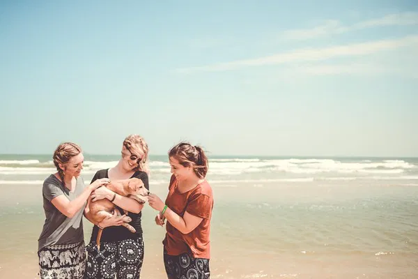 Hua Hin: Help Rescue Animals at P.A.W.S. Day Visit