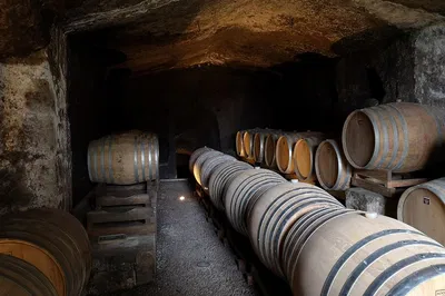 Discover Orvieto's Wine Country: An E-Bike & Tasting Adventure