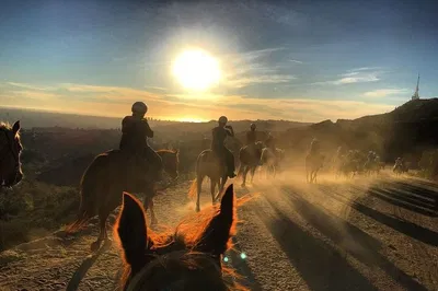 Mt. Hollywood Trail Tour: Iconic Views on Horseback
