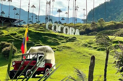 Cocora Valley's 4-Point Adventure: Ride, Views & Nature's Embrace!