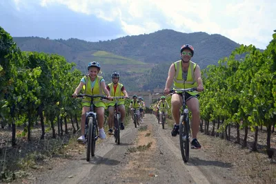 Bike & Wine: Grape Escape in Costa Dorada!