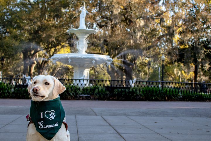 Experience Image img4