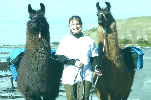 Kaikoura Llama Trek: A Woolly Walk Through Paradise