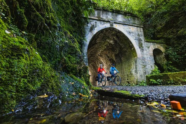 Remutaka Rail Trail eBike Adventure: Cycle Through History