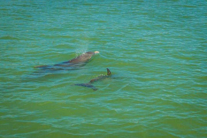 Experience Image img4