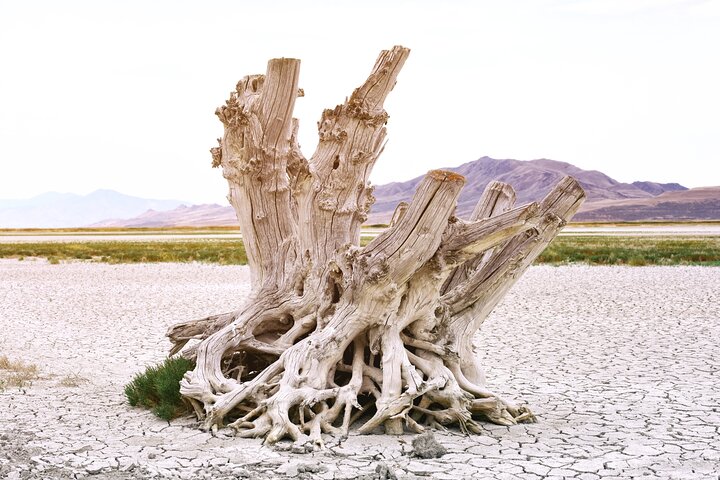 Experience Image img4