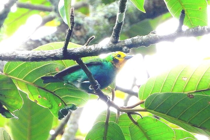 Experience Image img1