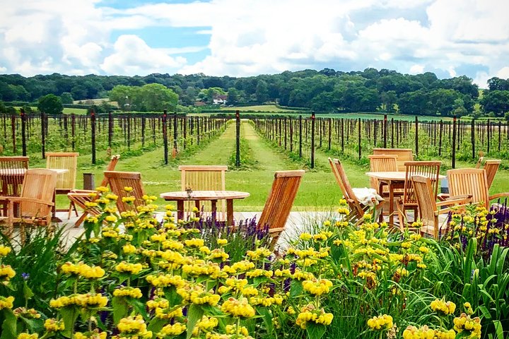 Experience Image img3