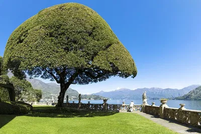 Lake Como Private Tour from Milan: Boat & Villa!