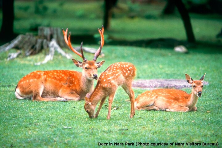 Experience Image img2