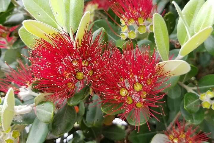 Experience Image img4