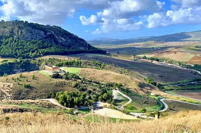Unveiling Ancient Sicily: A Private Tour of Selinunte & Segesta from Palermo