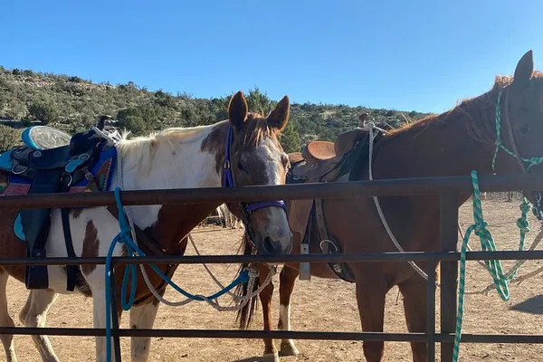 Grand Canyon West: Experience Thrilling Horseback Rides Near the Skywalk