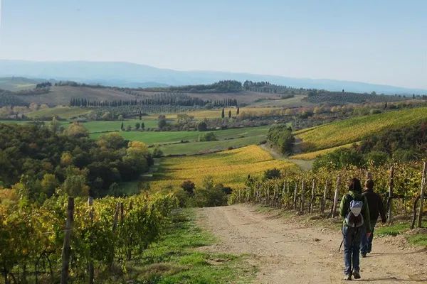 Tuscany Hike & San Gimignano: A Siena Escape