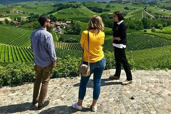 Langhe Wine Tour: Taste Italy's Best with a Sommelier