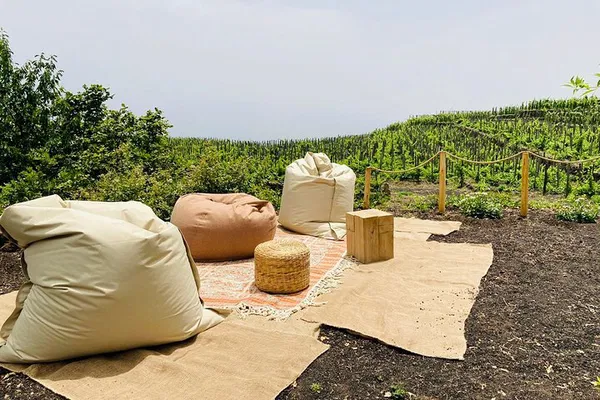 Etna Wine & Food Immersion: A Sicilian Culinary Adventure