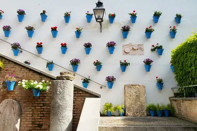Uncover Cordoba's Charm: A Whirlwind Day Trip from Madrid by Train
