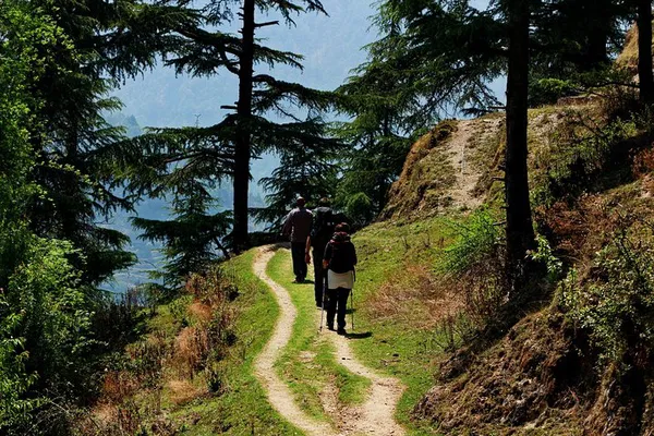 Uncover Mussoorie's Hidden Trails: Trekking, History & Jungle Cooking!
