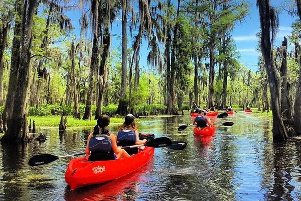 Manchac Swamp Kayak Tour: Paddle Louisiana's Wild Side