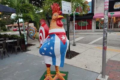 Uncover Little Havana's Secrets: A Self-Guided Audio Adventure