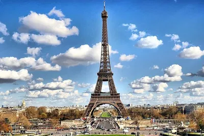 Parisian Elegance: Unveiling the City's Charms with a Private Driver