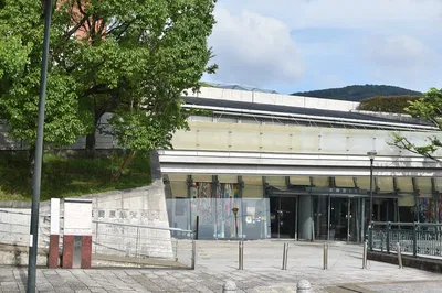 Image 2