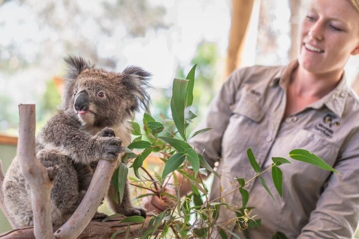 Experience Image img1