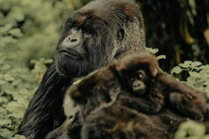 Experience Image img1