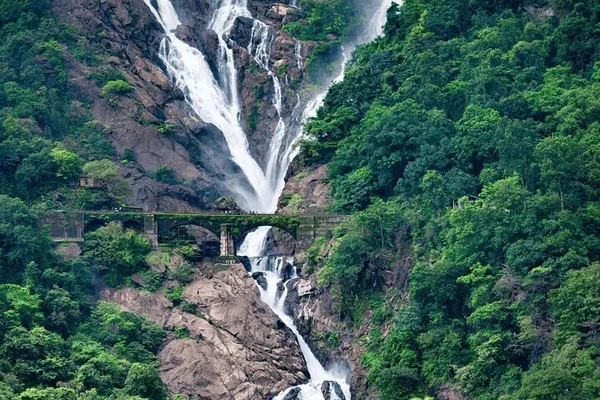 Unveiling Goa's Wonders: Dudhsagar Falls, Jeep Safari & Spice Plantation Adventure