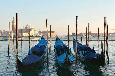 Venice Unveiled: A Classic Full-Day Adventure from Lake Garda