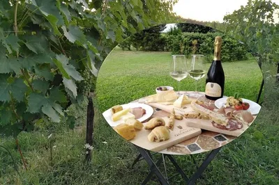 Vineyard Picnic: A Montepulciano Wine & Food Delight