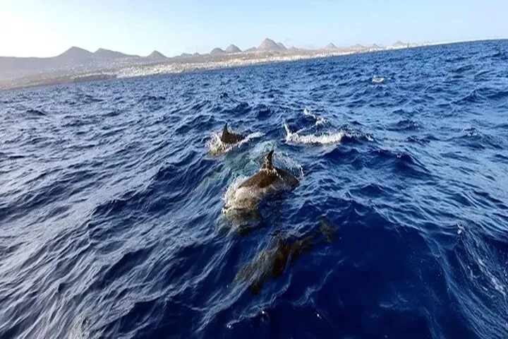 img0