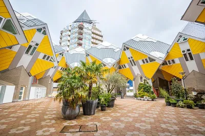 Rotterdam's Insta-Worthy Gems: Explore with a Local!