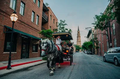 Charleston Haunted Horse Tour: Spooky Night Ride!