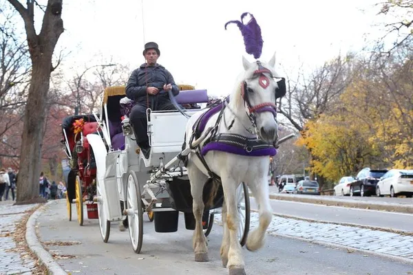 NYC Central Park Horse Carriage Tour: Small Loop Highlights