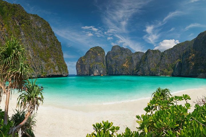 Explore Phi Phi's Underwater Paradise: A Diver's Dream from Phuket