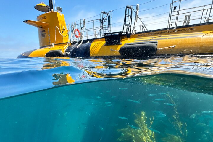 Dive into Adventure: Catalina Island's Yellow Submarine Expedition!