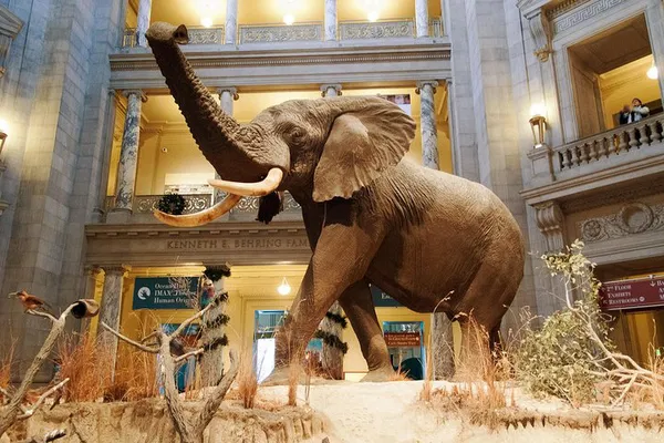 Nat. History Museum: Exclusive Guided Tour