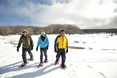 Lake Mountain Snow & Falls Day Trip from Melbourne