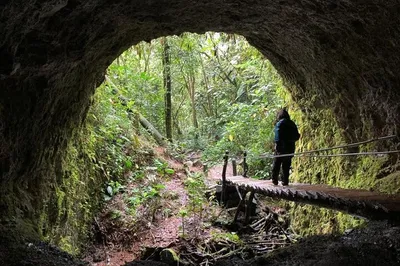Unveiling Salento's Secrets: Hike to Santa Rita Waterfall & Coffee Region Immersion