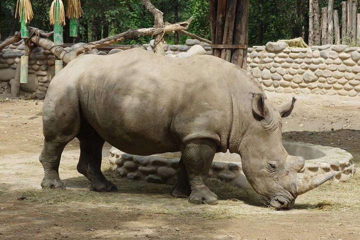 Experience Image img1