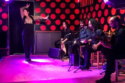 Barcelona Gothic Quarter Tour & Flamenco Show