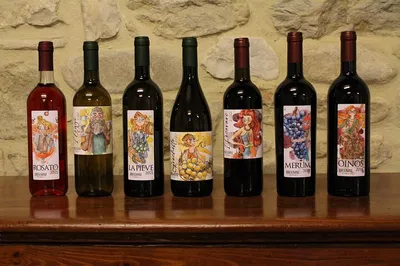 Discover Umbrian Winemaking: A Private Tasting at Brugnoni Winery