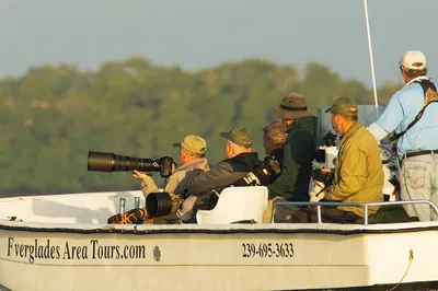 Capture the Wild: Private Everglades Photography Safari